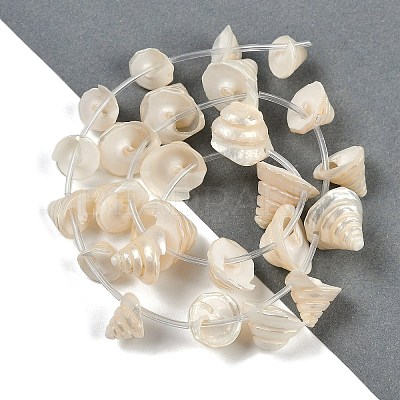 Natural Shell Beads Strands X-SHEL-K009-11-1