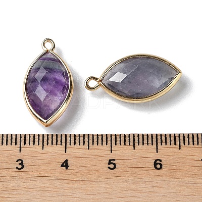 Natural Fluorite Pendants G-B009-01G-03-1