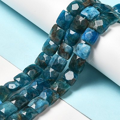 Natural Apatite Beads Strands G-G980-04-1