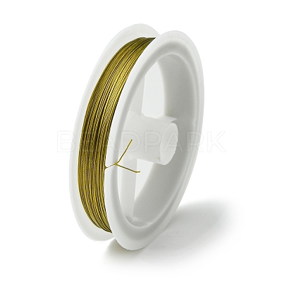 Tiger Tail Wire TWIR-R002-0.45mm-03-1