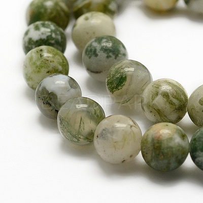 Natural Tree Agate Beads Strands G-K194-10mm-02-1