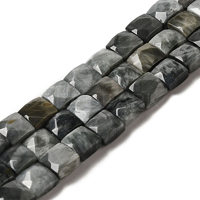 Natural Eagle Eye Stone Beads Strands G-C109-A15-02-1