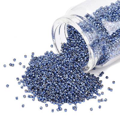 MIYUKI Delica Beads X-SEED-J020-DB2517-1