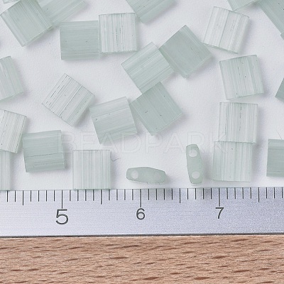 MIYUKI TILA Beads X-SEED-J020-TL2560-1
