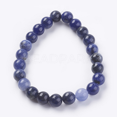Natural Sodalite Beads Strands X-G-G515-8mm-07-1