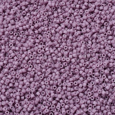 MIYUKI Delica Beads X-SEED-J020-DB0800-1