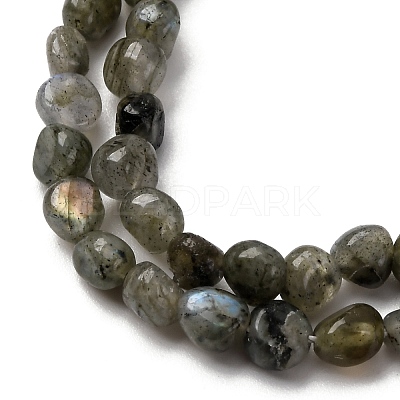 Natural Labradorite Beads Strands G-I389-A35-01A-1