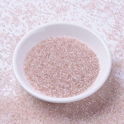 MIYUKI Delica Beads SEED-X0054-DB1243-1