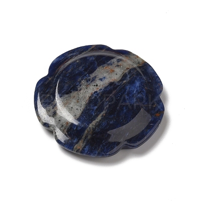 Natural Sodalite Worry Stones G-E586-01O-1