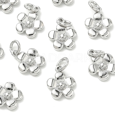 SHEGRACE Brass Pendants XGRQ3D002-472P-1