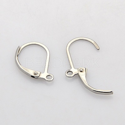 Tarnish Resistant 304 Stainless Steel Leverback Earring Findings STAS-N019-06-1