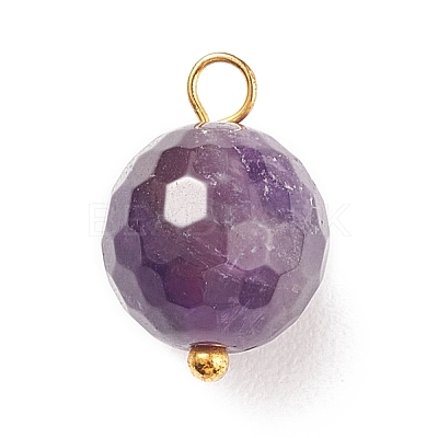 Natural Mixed Stone Charms PALLOY-JF01677-1