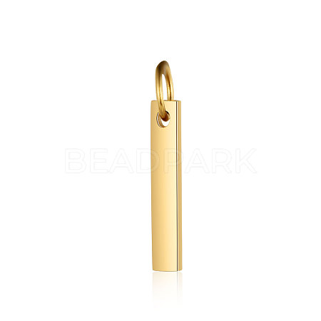 Ion Plating(IP) 304 Stainless Steel Pendants LS-A-STAS-S105-T606D-15B-1