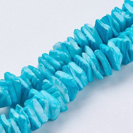 Natural Sea Shell Beads Strands BSHE-K012-08C-1