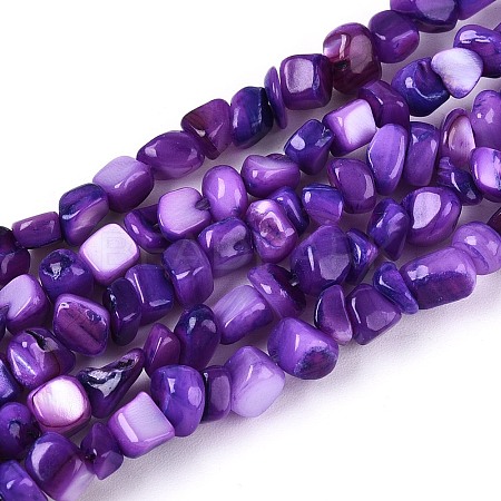 Natural Freshwater Shell Beads Strands SHEL-N037-04H-1