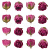 10Pcs Preserved Rose Pendants KY-TA0001-59B-2