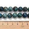 Natural Chrysocolla Beads Strands G-C289-B02-10mm-5