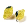 AB Color Resin Pendants RESI-C051-02F-P-2