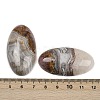 Natural Amethyst Lace Agate Pendants G-A244-12B-03-3