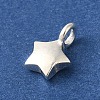 925 Sterling Silver Charms LS-FIND-U013-06S-02-2