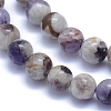 Natural Chevron Amethyst Beads Strands X-G-L552H-06A-2