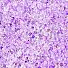 Spray Painted with Glitter Powder Glass Seed Beads SEED-T007-09B-2