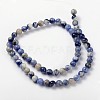 Natural Sodalite Beads Strand GSR12mmC013-3