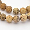 Natural Picture Jasper Beads Strands G-G735-16F-6mm-1