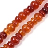 Natural Red Agate(Dyed & Heated) Beads Strands G-P595-B02-01-2