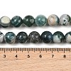 Natural Tree Agate Beads Strands G-I199-03-10mm-6