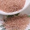 MIYUKI Delica Beads X-SEED-J020-DB0054-1