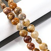 Natural Crazy Agate Beads Strands G-T047-A02-03-2