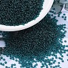 MIYUKI Round Rocailles Beads X-SEED-G007-RR2406-1