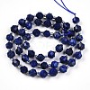 Natural Lapis Lazuli Beads Strands G-O201B-25-1-3