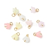 Transparent Acrylic Charms PALLOY-JF01604-01-1