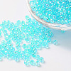Eco-Friendly Transparent Acrylic Beads PL734-7-1