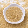 MIYUKI Delica Beads X-SEED-J020-DB0100-2
