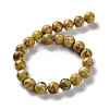Dyed Natural Regalite/Imperial Jasper/Sea Sediment Jasper Beads Strands G-B124-C01-07-3
