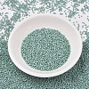 MIYUKI Delica Beads SEED-X0054-DB2313-2