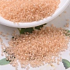 MIYUKI Delica Beads SEED-X0054-DB0067-1
