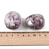 Natural Lepidolite Beads G-G348-01B-18-3