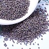 MIYUKI Delica Beads X-SEED-J020-DB1067-1