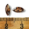 Cubic Zirconia Cabochons ZIRC-P116-02B-05-3