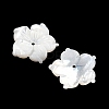 Natural White Shell Carved Beads SSHEL-I026-12E-06-2