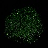 Luminous Glass Seed Beads X1-SEED-A033-07K-5