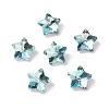 Electroplate Glass Charms GLAA-H104-A08-1