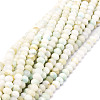 Natural Gemstone Beads  Strands G-E569-I20-1