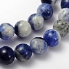 Natural Sodalite Beads Strand LS-GSR6mmC013-2