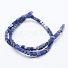 Natural Lapis Lazuli Beads Strands G-K260-08B-2