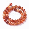 Natural Striped Agate/Banded Agate Beads Strands G-G582-10mm-59-2